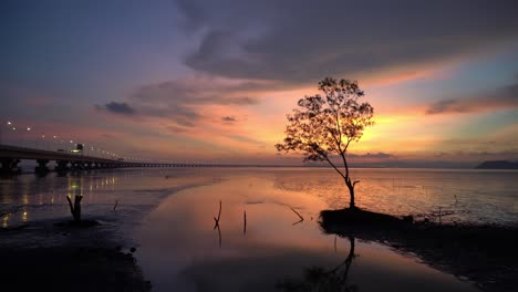 Schrägaufnahme-Eines-Mangrovenbaums-Bei-Dramatischem-Sonnenuntergang-In-Der-Nähe-Der-Zweiten-Brücke-Von-Penang